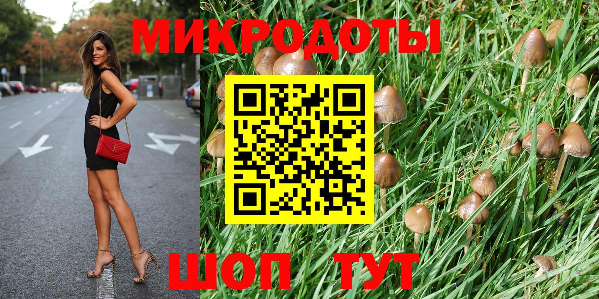 Галлюциногенные грибы Magic Shrooms Фурманов
