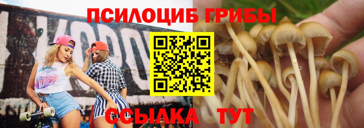 Псилоцибиновые грибы ЛСД  где купить   Фурманов  Вход с VPN 